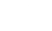 Product image with a clear background